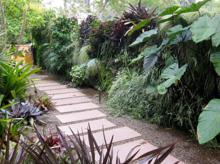 Tropical Fruits Gallery
